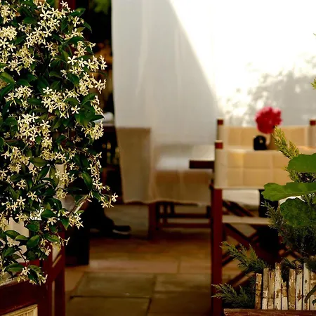 Cunda Lena Hotel Ayvalı